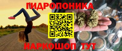 бошки Будённовск