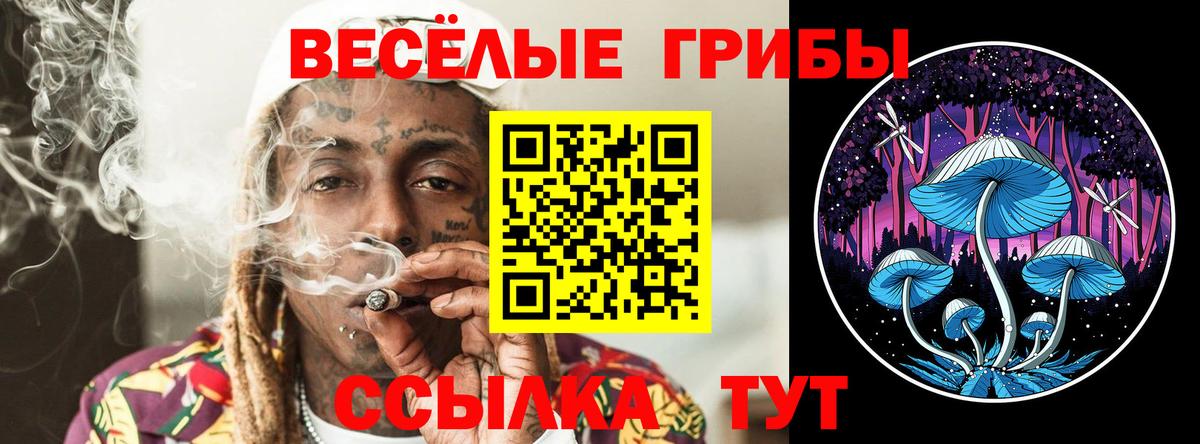 Стерлитамак  закладки  Вход с VPN  Галлюциногенные грибы GOLDEN TEACHER  Галлюциногенные грибы ЛСД 