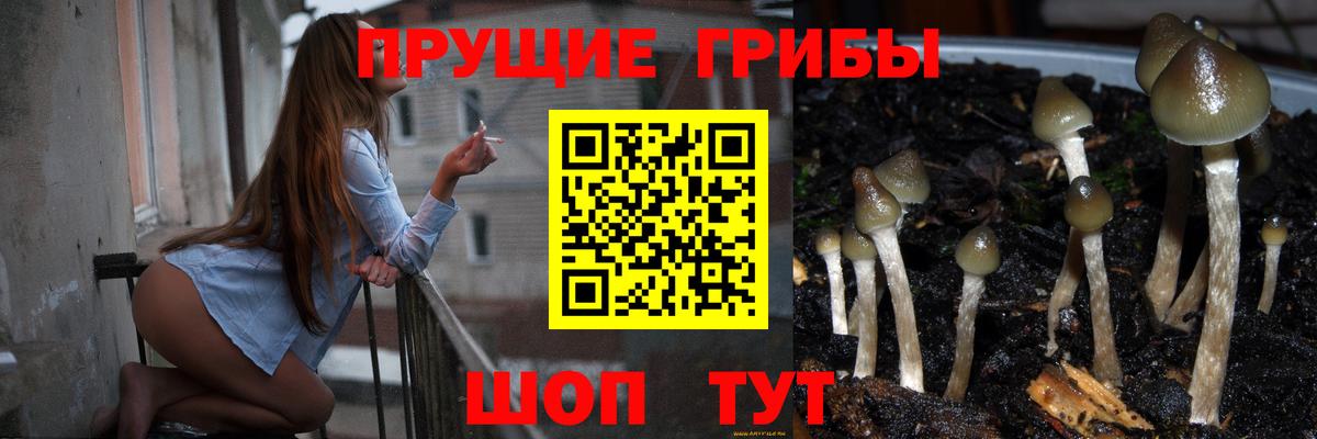 Галлюциногенные грибы Magic Shrooms Стерлитамак